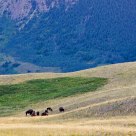 Waterton Lakes National Park